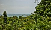 gite Deshaies Guadeloupe vue de la terrasse gite Ali-Naïs